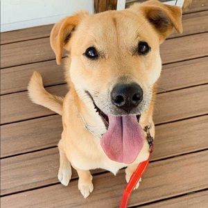 Meet your Posher, Clara